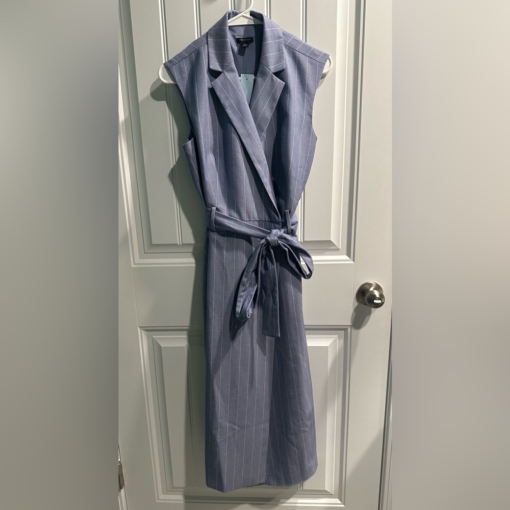 Ann Taylor Sleeveless Pinstripe Wrap Dress